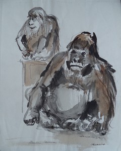 Gorilla (dierentuin Wassenaar)