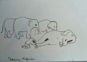 Pedicure voor de olifanten