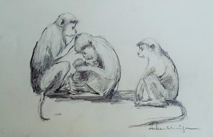 Vier aapjes